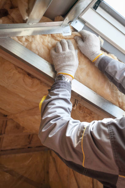 Best Basement Insulation  in Blackhawk, CA